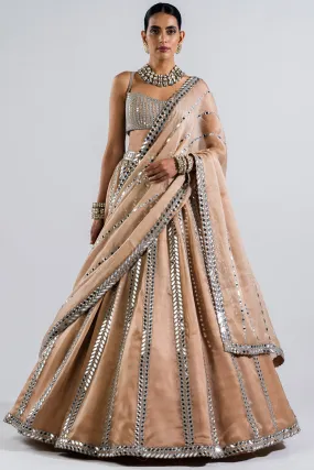 Beige Mirror Seam Lehenga