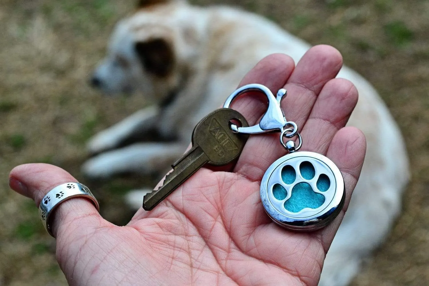 Lone Paw Aromatherapy Purse Locket or Key Ring