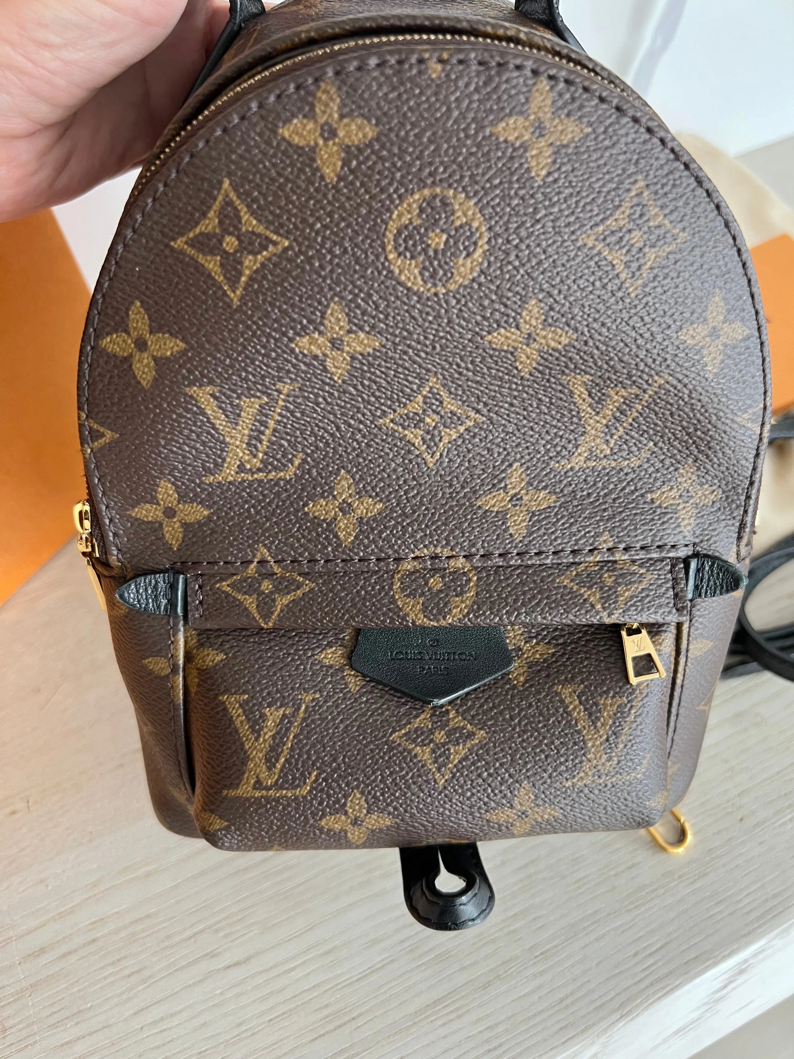 Louis Vuitton Palm Springs Mini Backpack