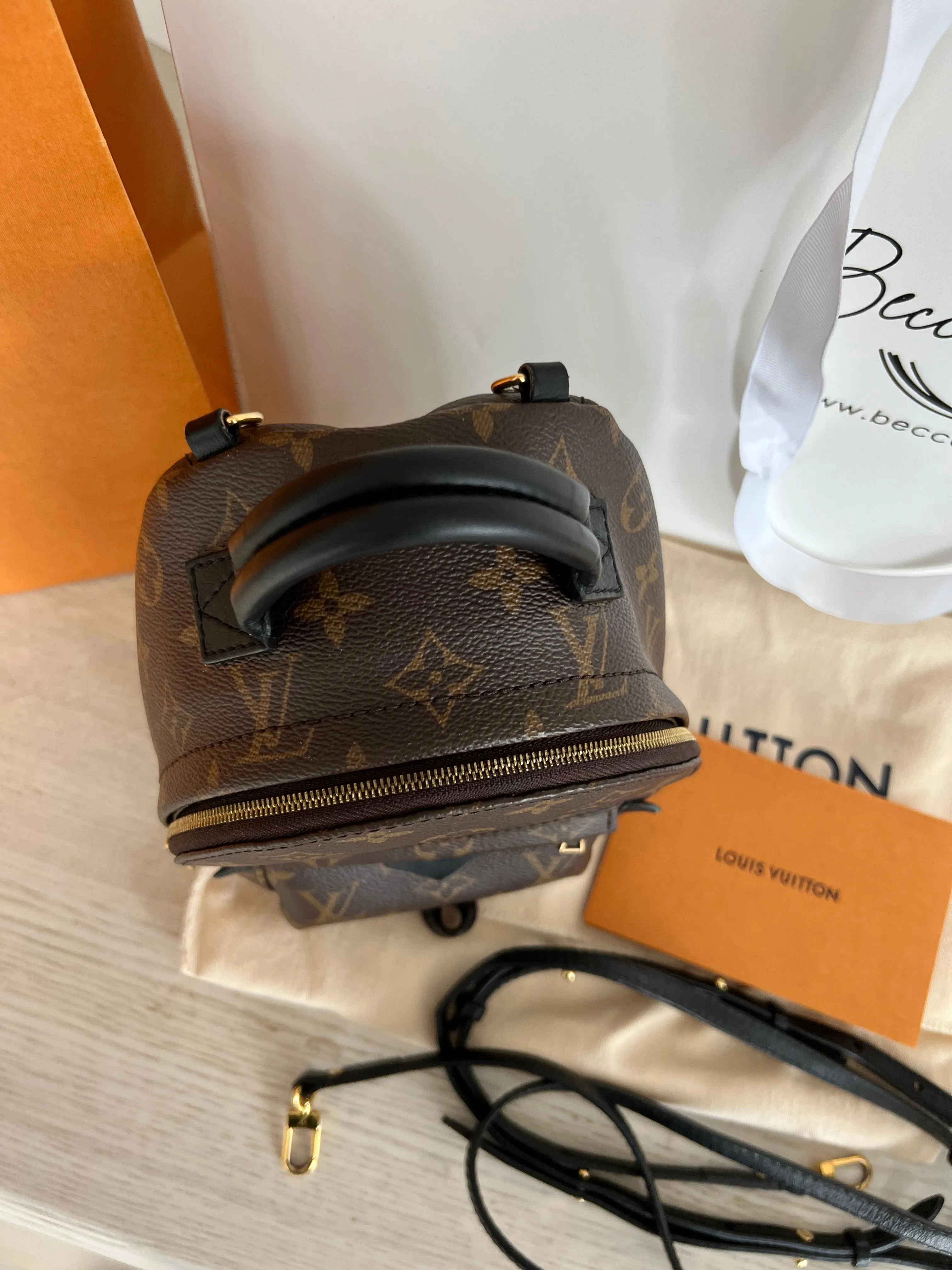 Louis Vuitton Palm Springs Mini Backpack