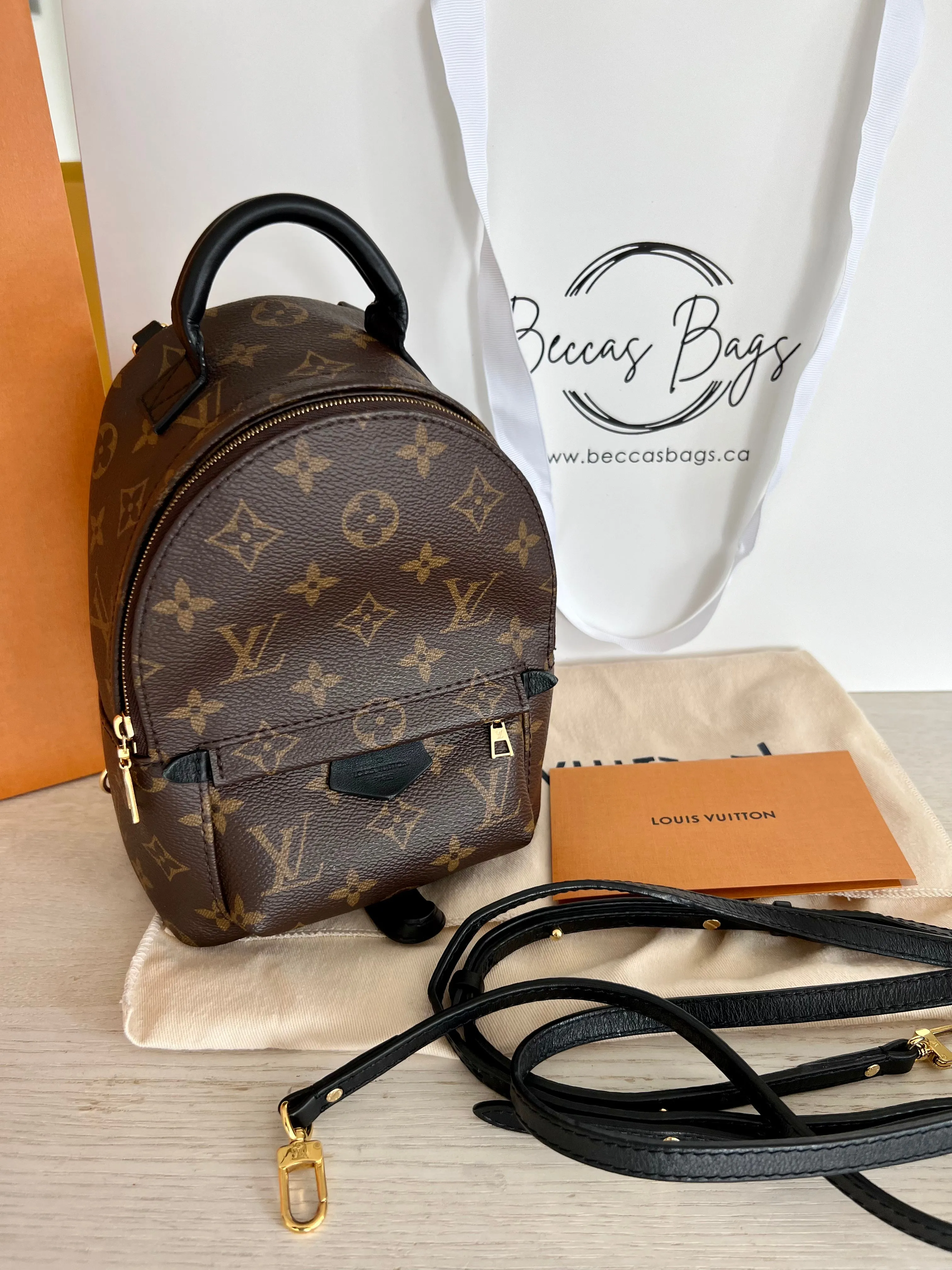 Louis Vuitton Palm Springs Mini Backpack