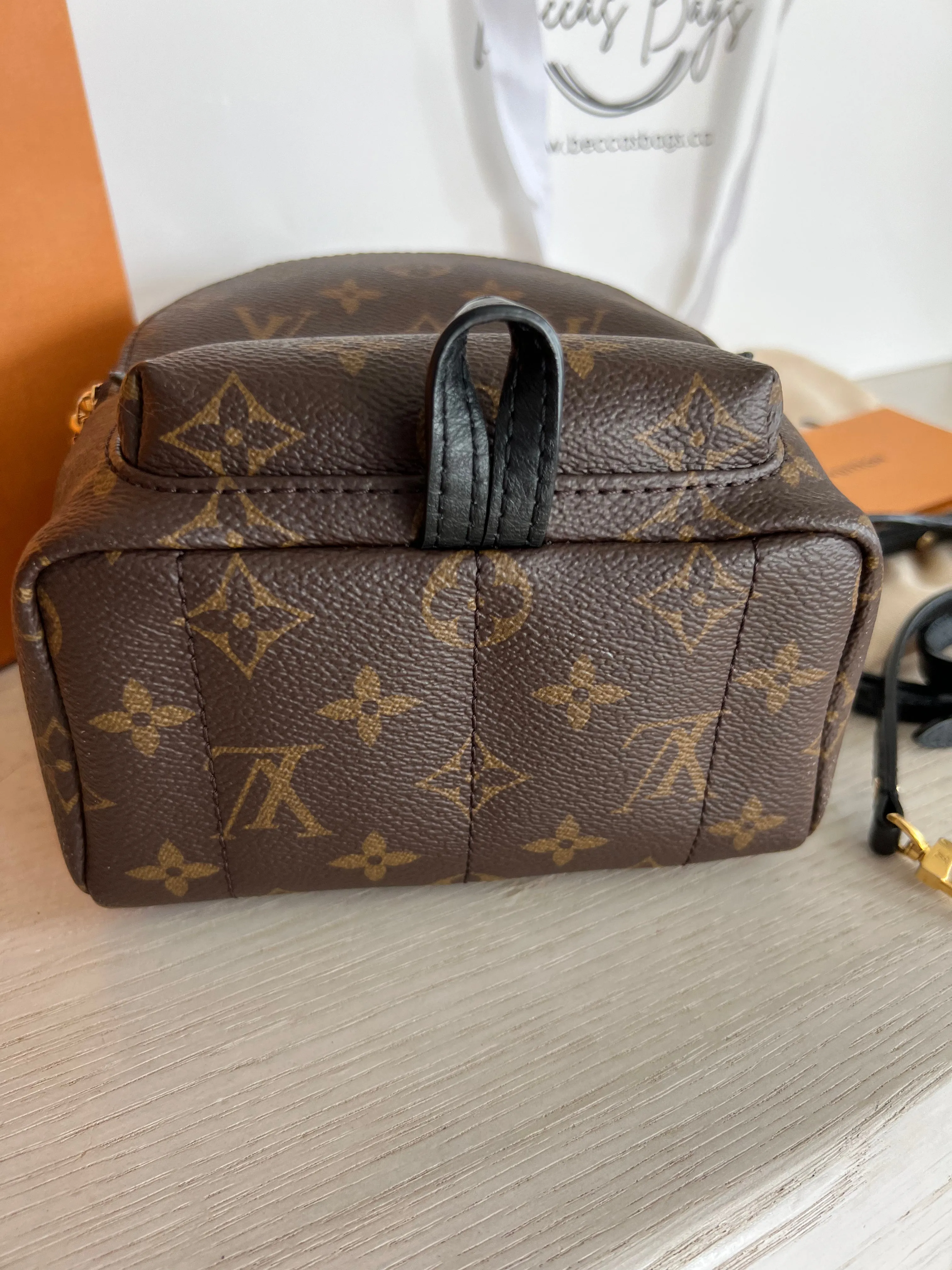 Louis Vuitton Palm Springs Mini Backpack