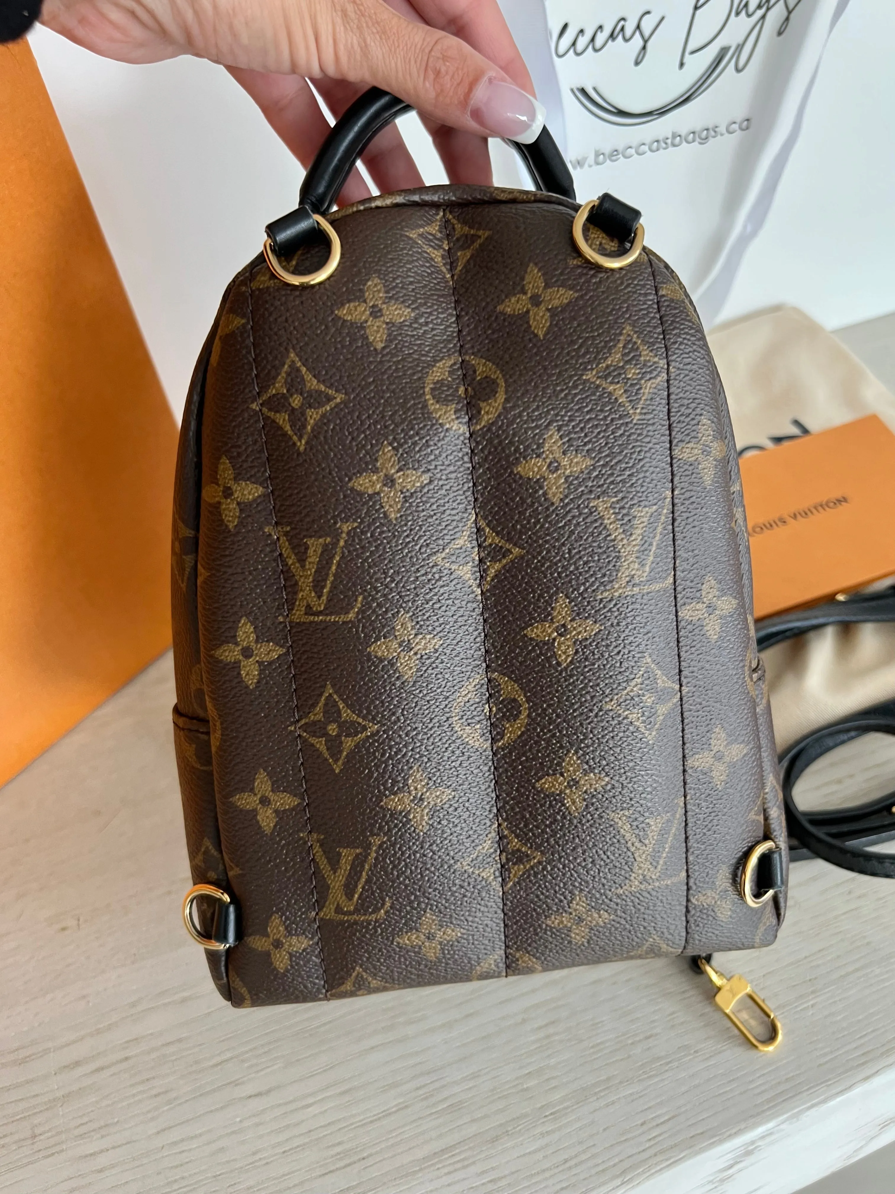 Louis Vuitton Palm Springs Mini Backpack