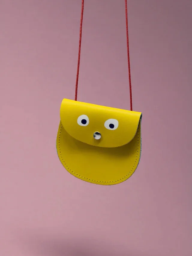 Yellow Googly Eye Pocket Money Purse